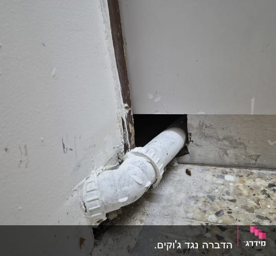 ג'וק מת על הרצפה ליד צינור ניקוז לאחר הדברת ג'וקים